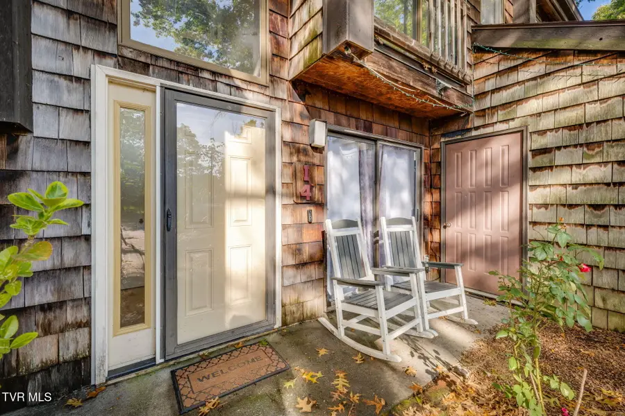 115 Beechnut Street #Apt I4, Johnson City, TN 37601 - #2