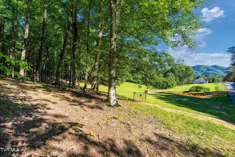 180 Water Tank Hill Road, Johnson City, TN 37604 - #2