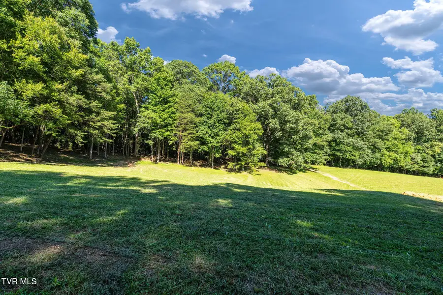 180 Water Tank Hill Road, Johnson City, TN 37604 - #3