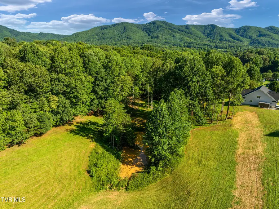 156 Water Tank Hill Road, Johnson City, TN 37604 - #2