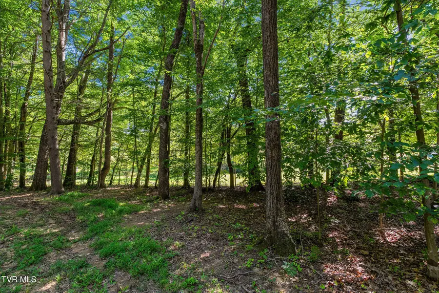 156 Water Tank Hill Road, Johnson City, TN 37604 - #3