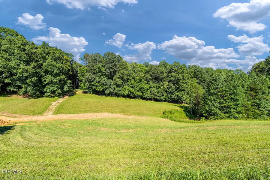 160 Water Tank Hill Road, Johnson City, TN 37604 - #2