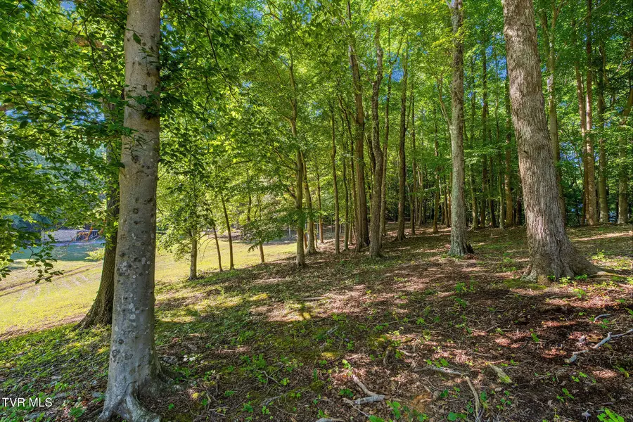 160 Water Tank Hill Road, Johnson City, TN 37604 - #3