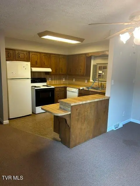 2199 Rock Springs Road, Kingsport, TN 37664 - #2
