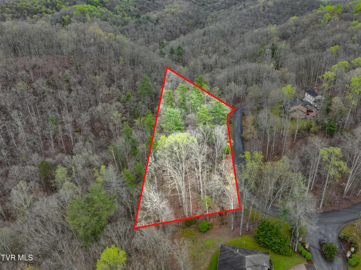 Tbd Skyline Drive, Bristol, TN 37620 - #1
