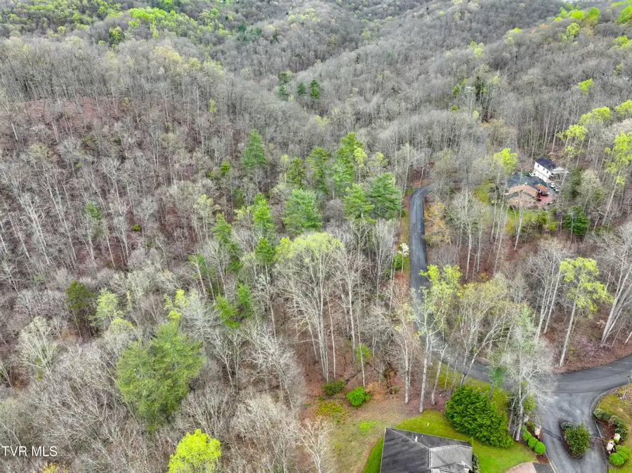 Tbd Skyline Drive, Bristol, TN 37620 - #2