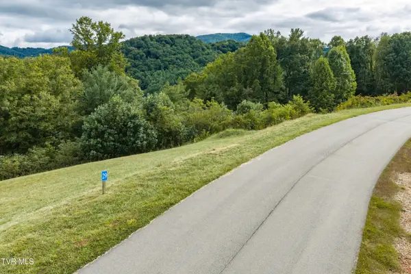 Lot 29 Cowan Town Road #Lot 29, Butler, TN 37640