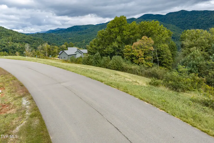 Lot 29 Cowan Town Road #Lot 29, Butler, TN 37640 - #2
