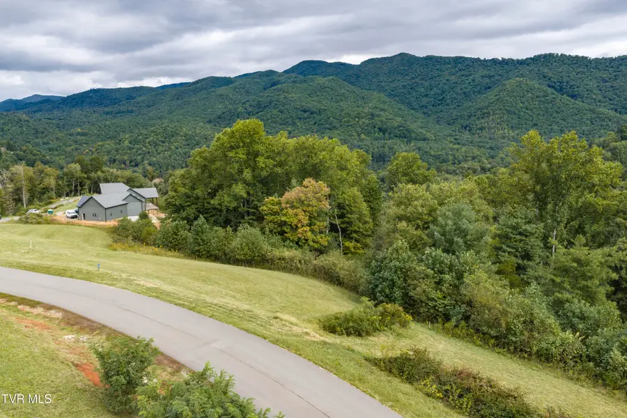 Lot 29 Cowan Town Road #Lot 29, Butler, TN 37640 - #3