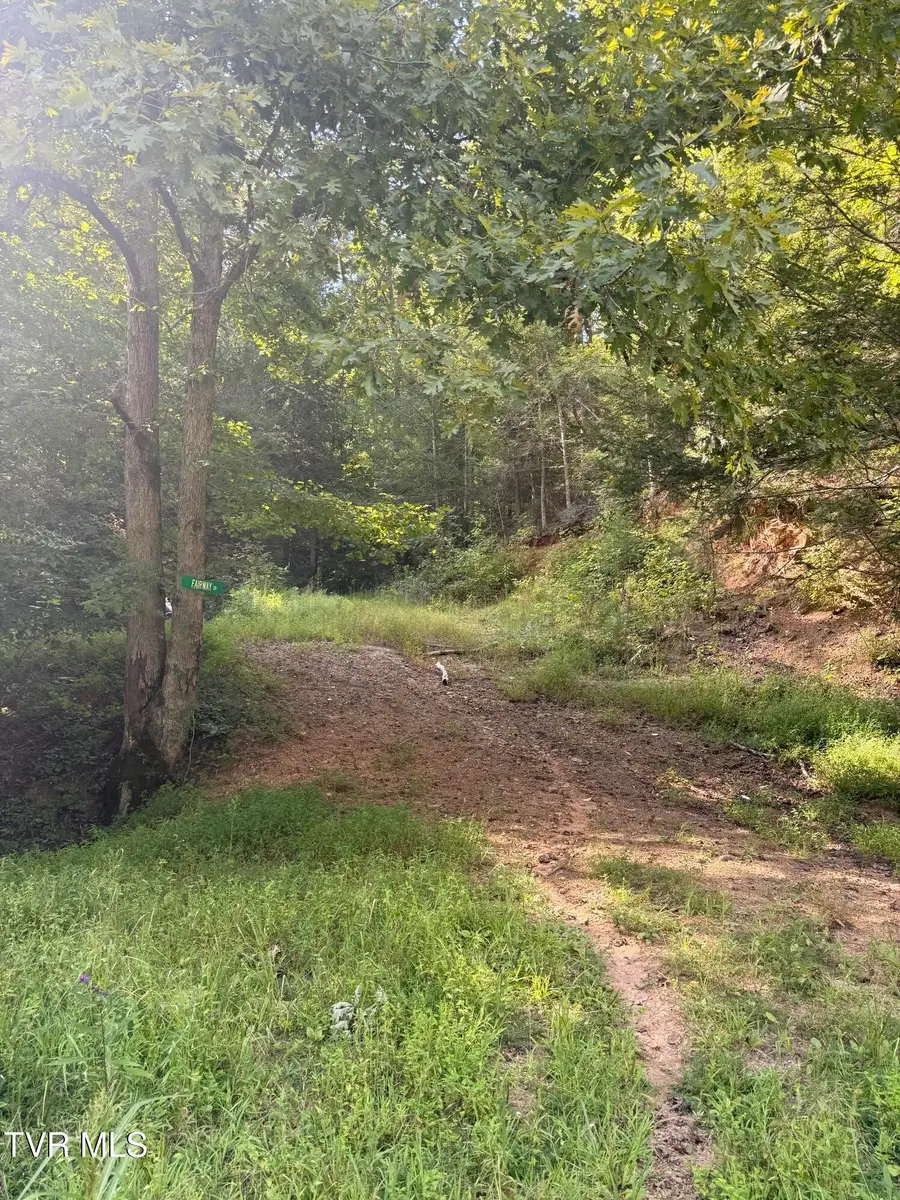 958 War Valley Road, Rogersville, TN 37857 - #3