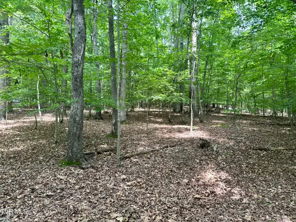 8 Woods Ridge Road, Dandridge, TN 37725