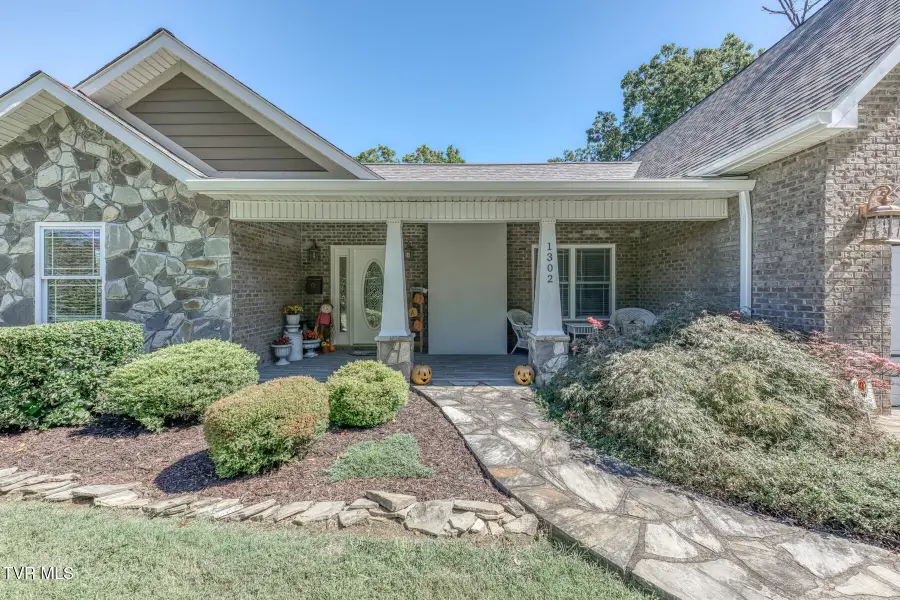1302 Iris Avenue, Johnson City, TN 37601 - #2