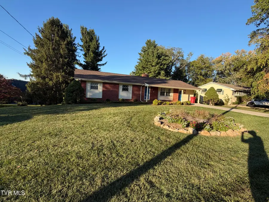 201 Brown Avenue, Johnson City, TN 37601 - #2