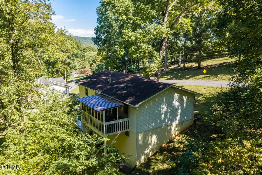 278 Whispering Woods Drive, Bluff City, TN 37618 - #3