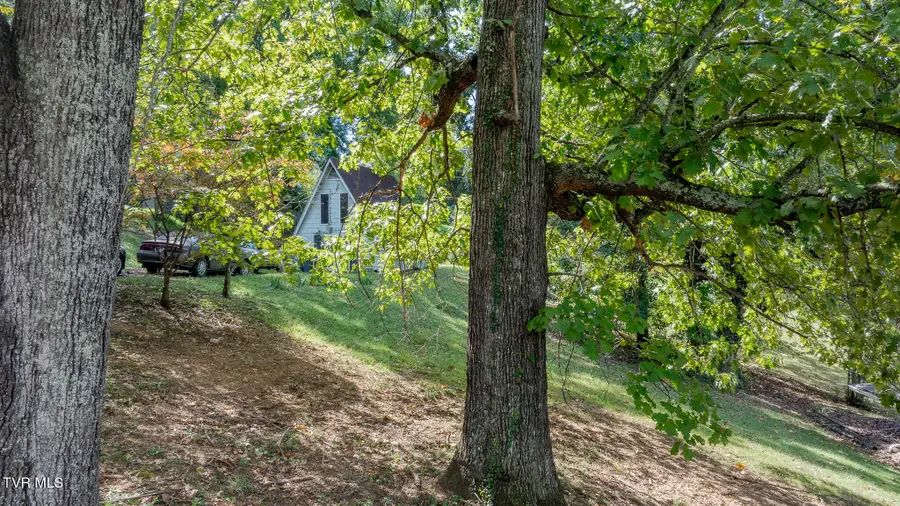 334 Walker Street, Kingsport, TN 37665 - #3
