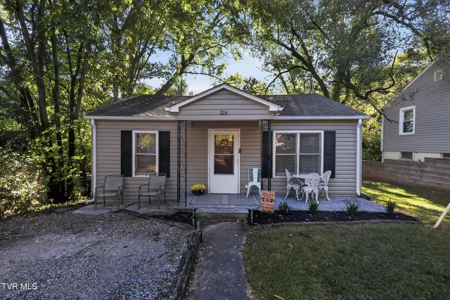 224 Alabama Street, Kingsport, TN 37660 - #2