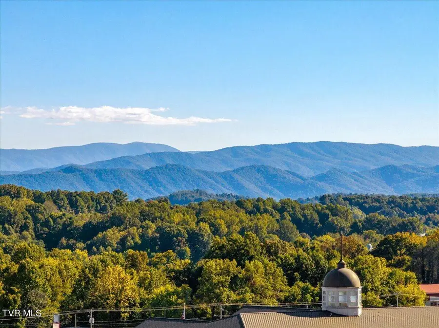 337 English Ivy Trail, Jonesborough, TN 37659 - #2