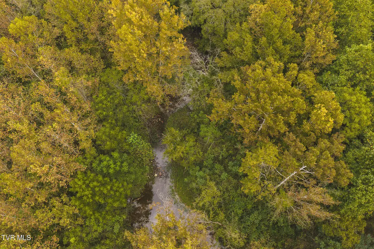 1444 Beech Creek Road, Rogersville, TN 37857 - #1