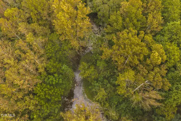 1444 Beech Creek Road, Rogersville, TN 37857