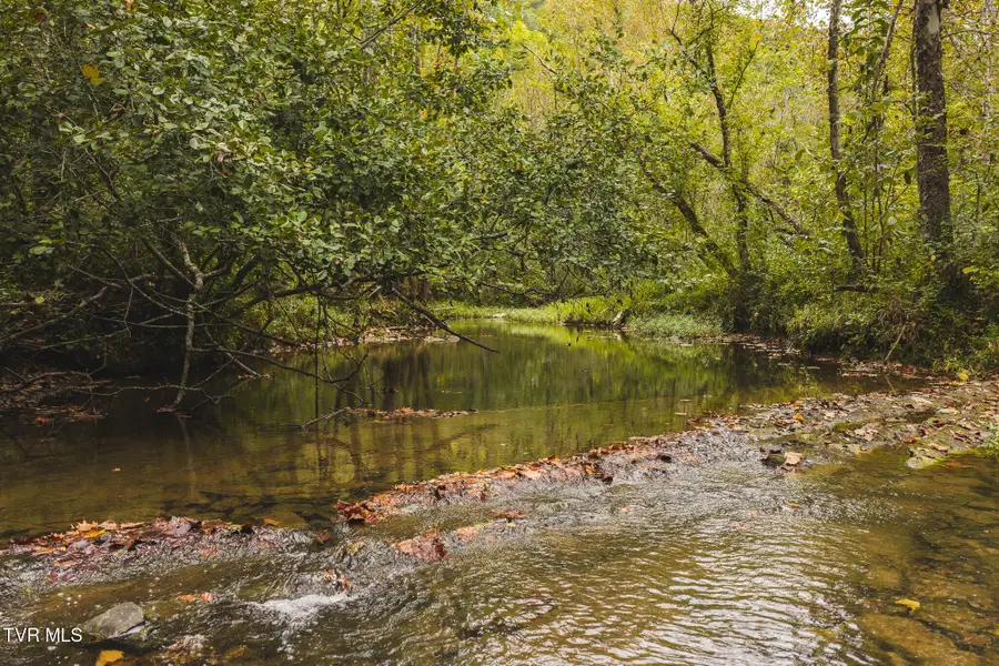 1444 Beech Creek Road, Rogersville, TN 37857 - #2