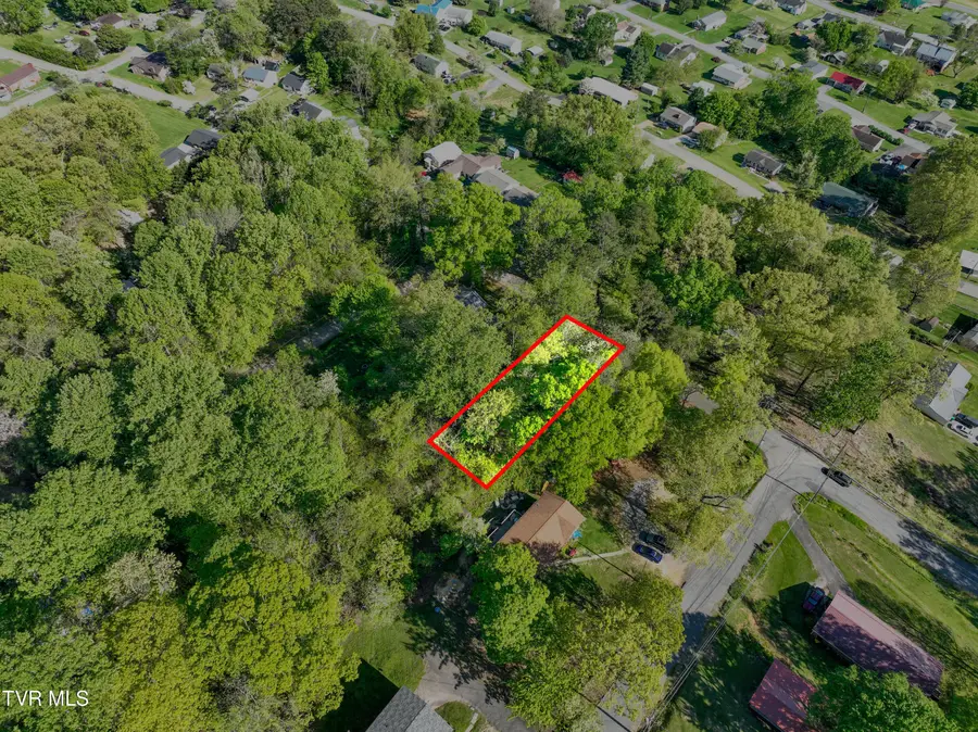 Lot 19 Page Street, Kingsport, TN 37660 - #3