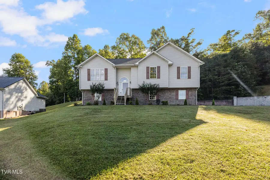 132 Elizabeth Ann Circle, Bluff City, TN 37618 - #2