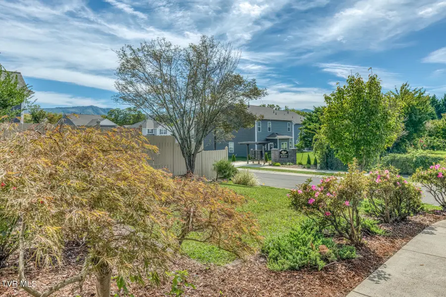 305 Alta Tree Boulevard, Johnson City, TN 37604 - #3