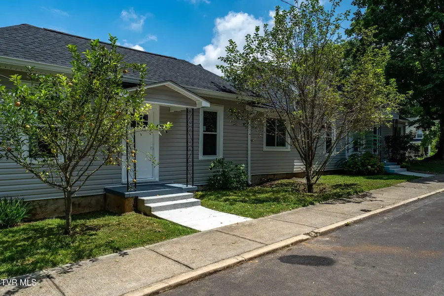1007 Spring Street, Johnson City, TN 37604 - #2