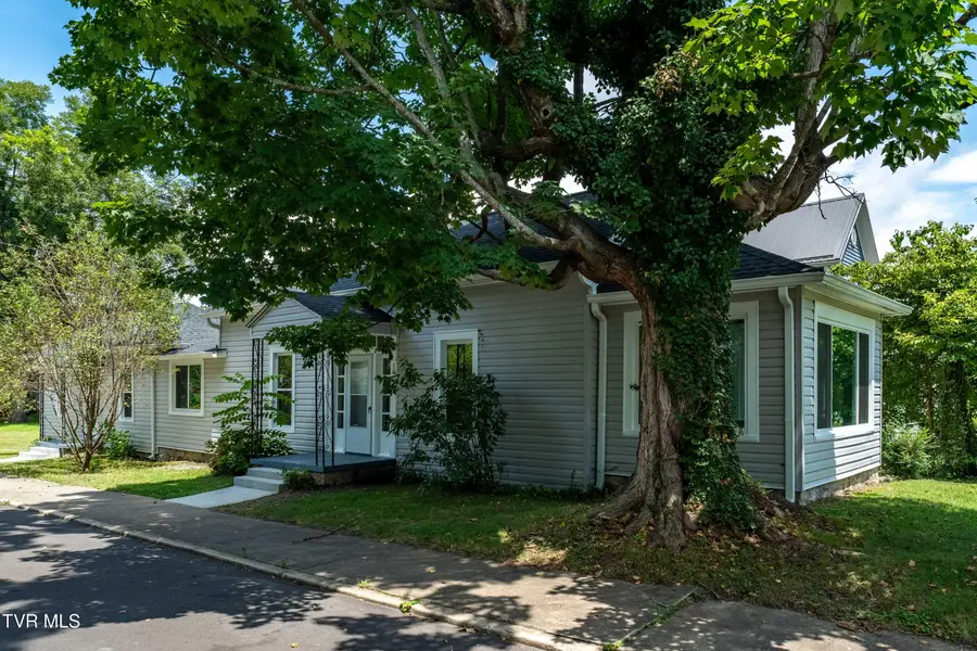 1007 Spring Street, Johnson City, TN 37604 - #3