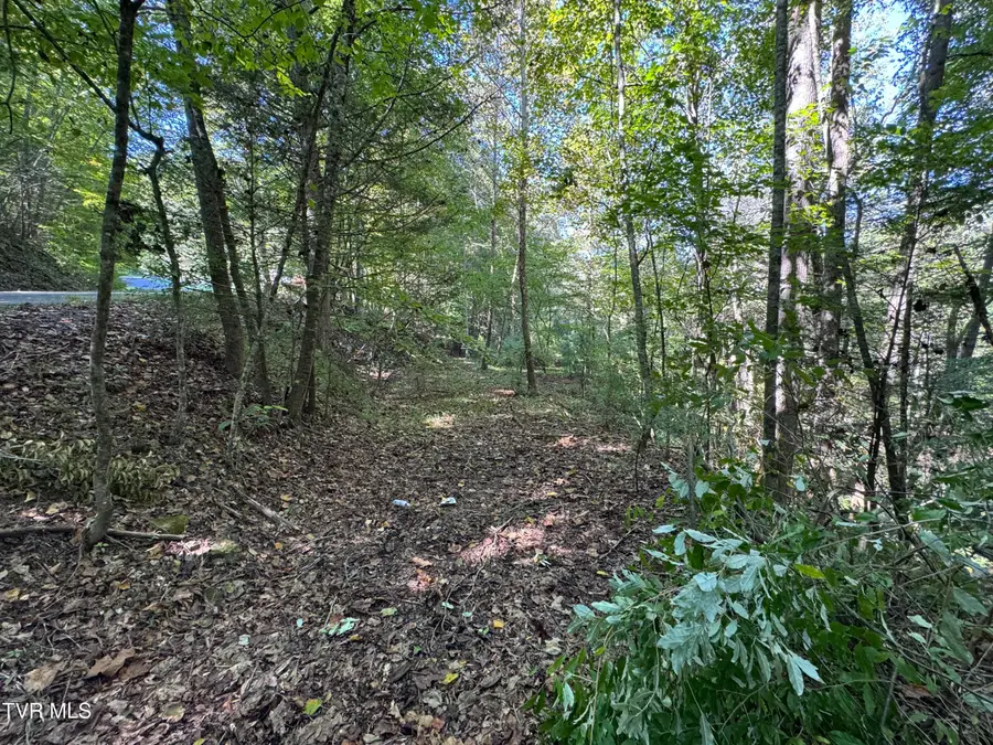 Tbd Wolfpen, Clintwood, VA 24228 - #2