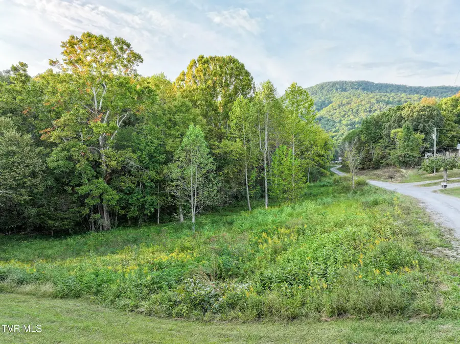 19 Newton Slagle Lane, Greeneville, TN 37745 - #2