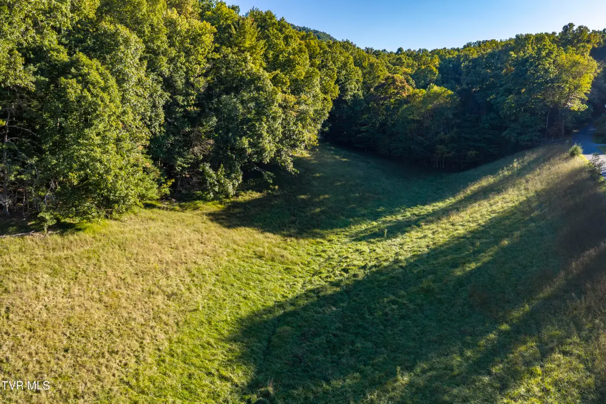 1544 Whispering Pines Road, Johnson City, TN 37601 - #1