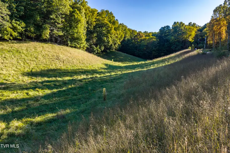 1544 Whispering Pines Road, Johnson City, TN 37601 - #2