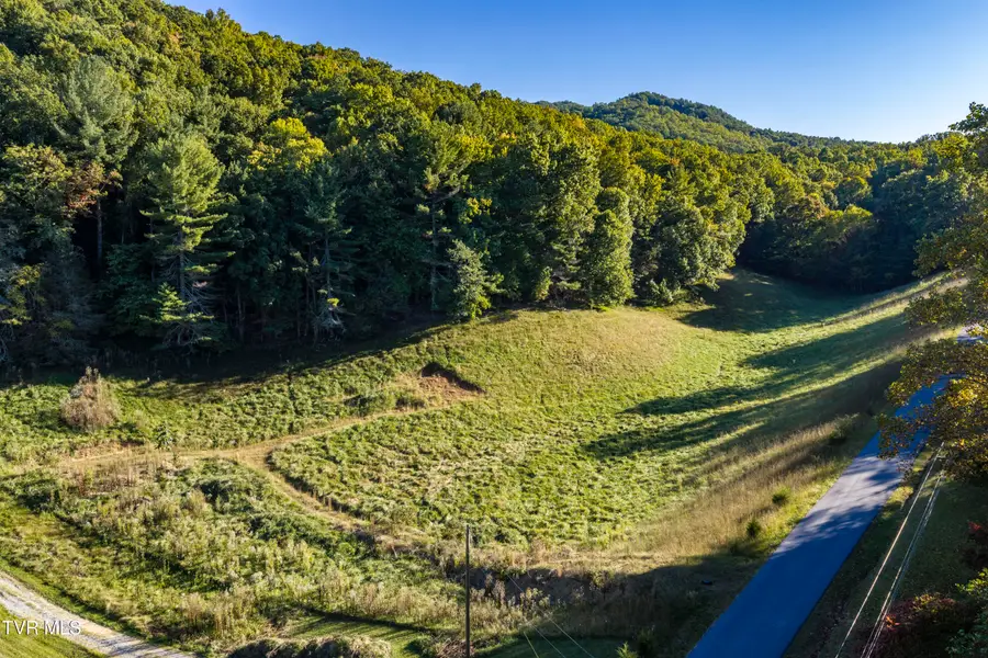 1544 Whispering Pines Road, Johnson City, TN 37601 - #3