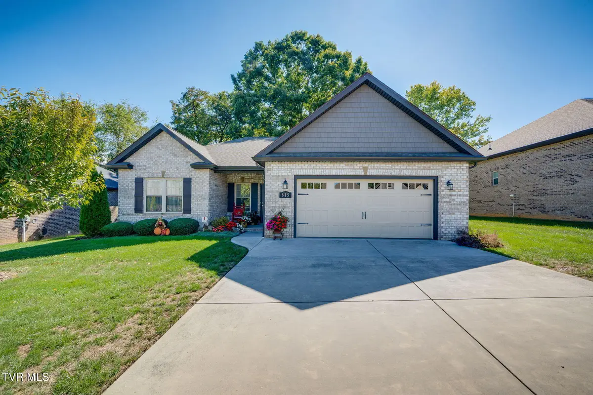 615 Nettle Tree Court, Johnson City, TN 37604 - #1