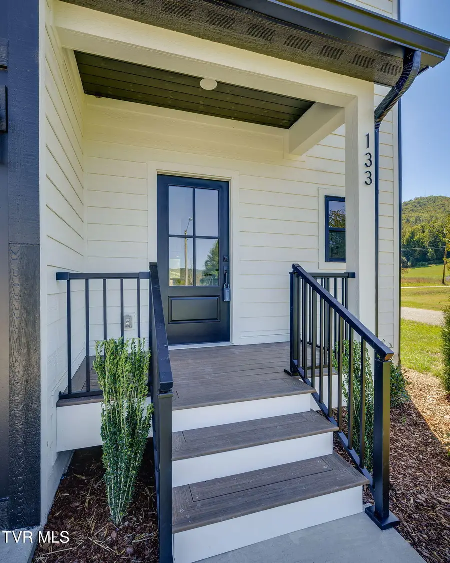 133 Unaka View Drive, Erwin, TN 37650 - #3