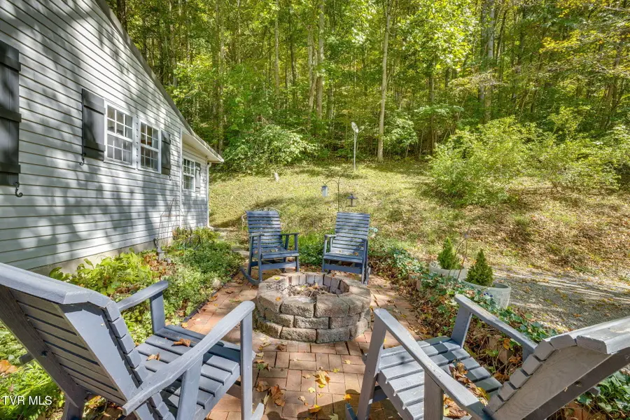 478 County Home Road, Blountville, TN 37617 - #3