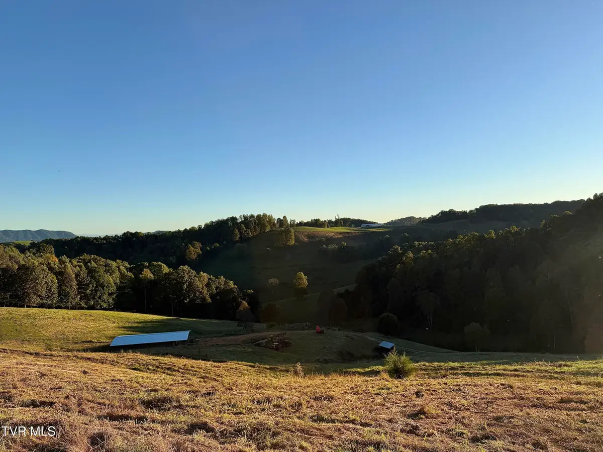 431 Strong Hollow Lane, Fort Blackmore, VA 24250 - #1