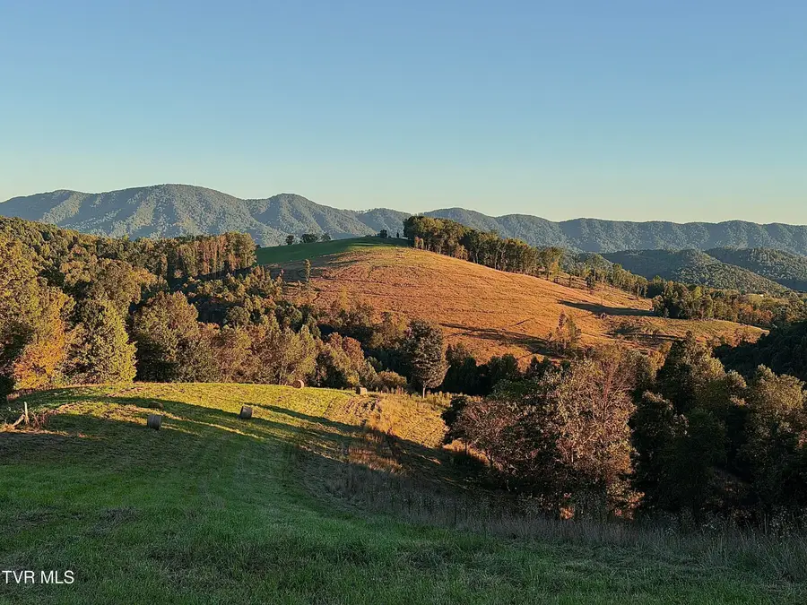 431 Strong Hollow Lane, Fort Blackmore, VA 24250 - #2