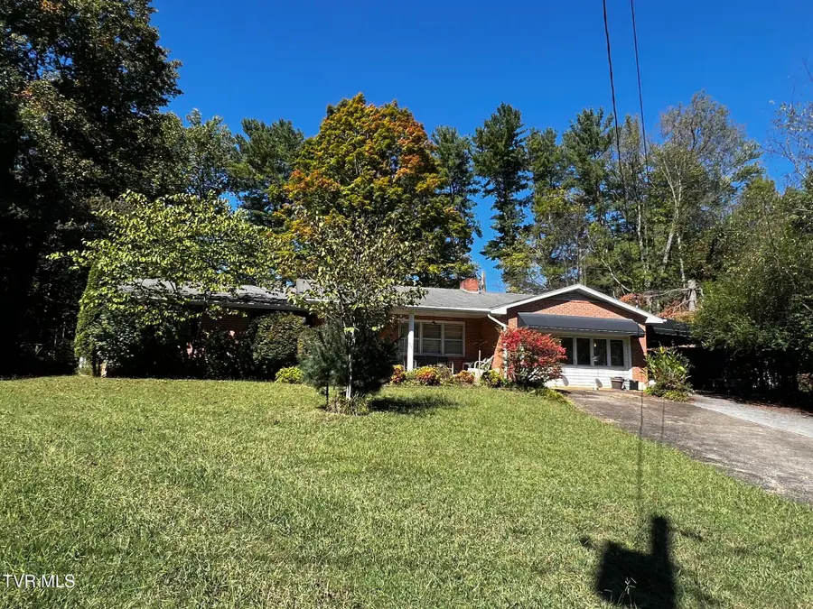 1509 Woodland Avenue, Johnson City, TN 37601 - #2