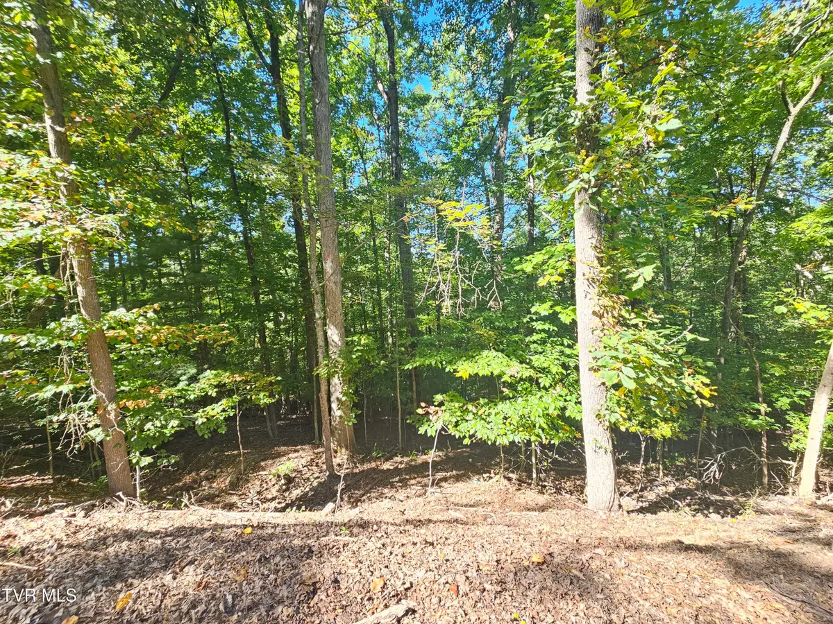 Lot 4 Skyline Drive, Bristol, TN 37620 - #1