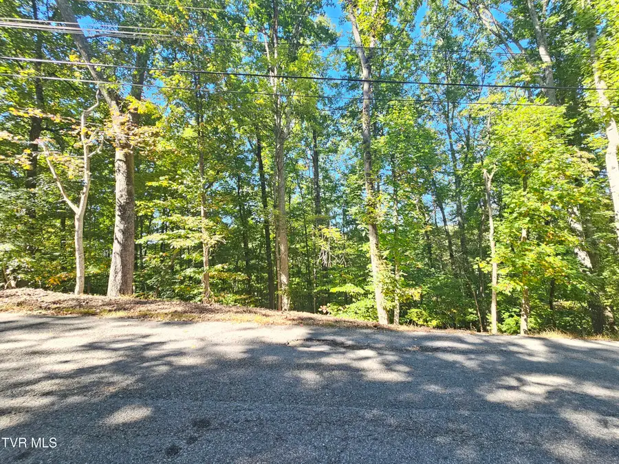 Lot 4 Skyline Drive, Bristol, TN 37620 - #2