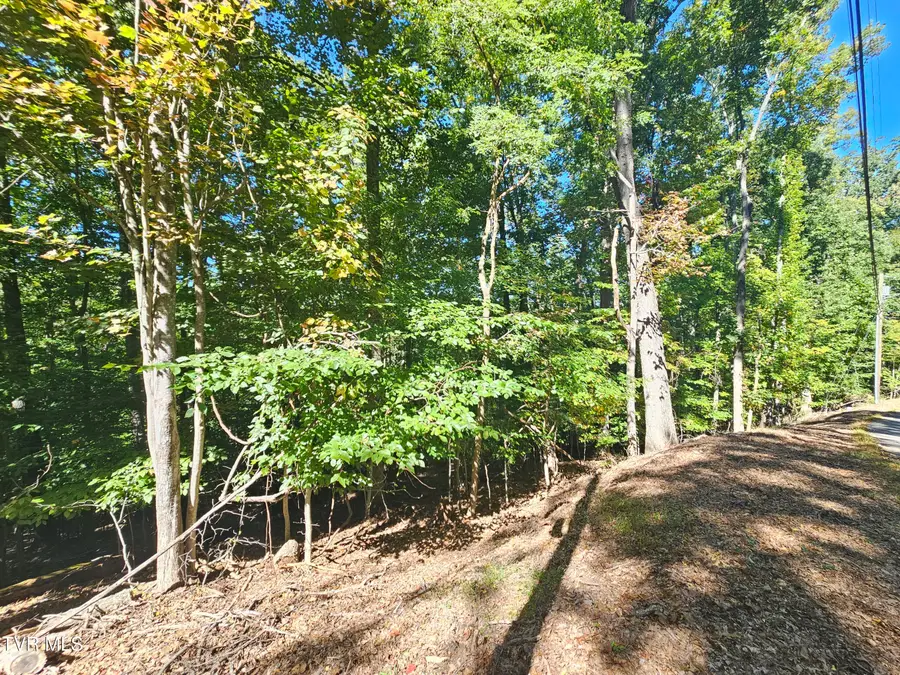 Lot 4 Skyline Drive, Bristol, TN 37620 - #3