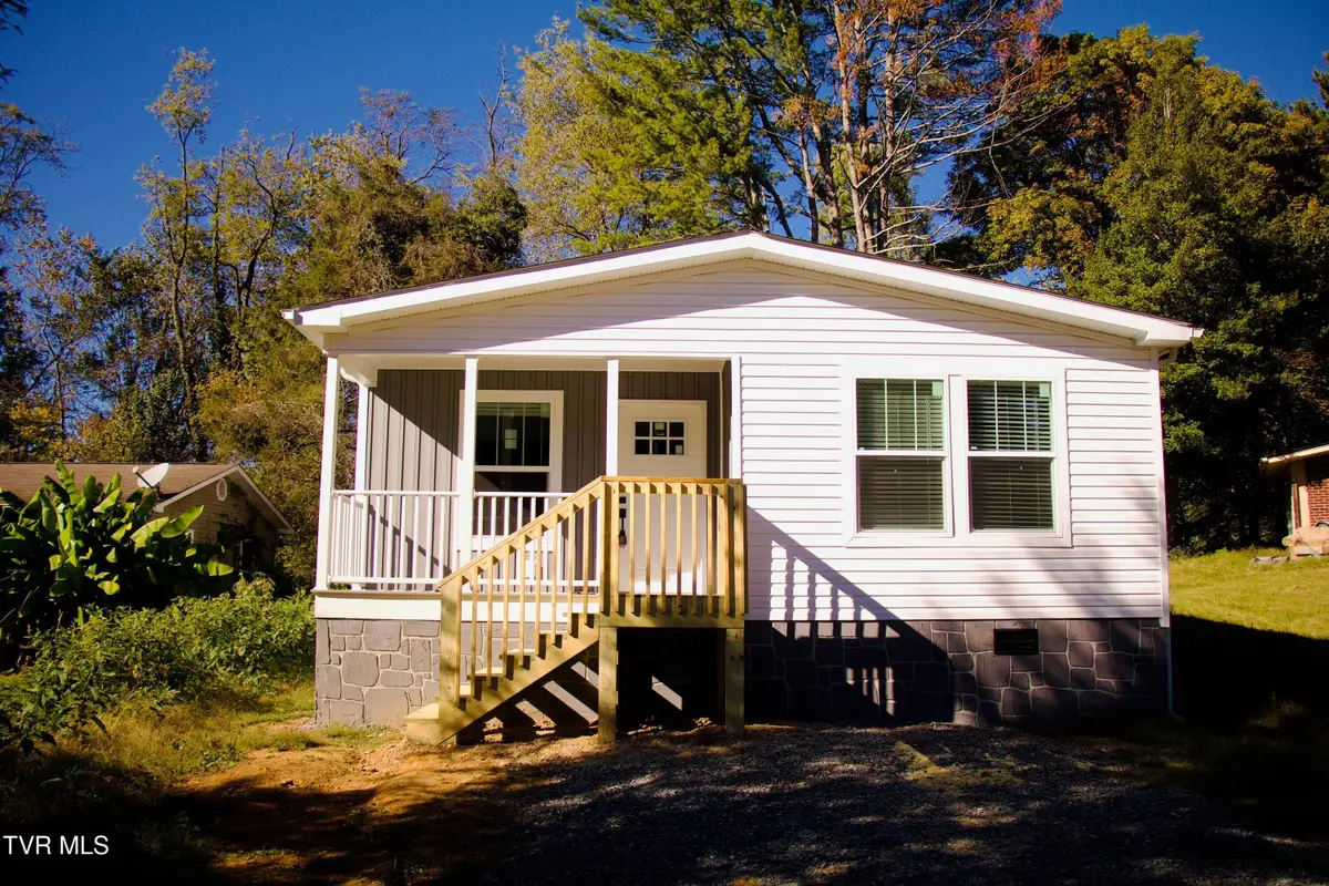 313 Ruth Street, Bristol, TN 37620 - #1