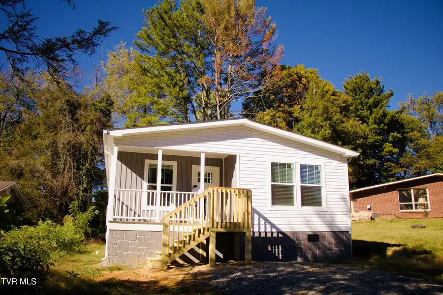 313 Ruth Street, Bristol, TN 37620 - #2