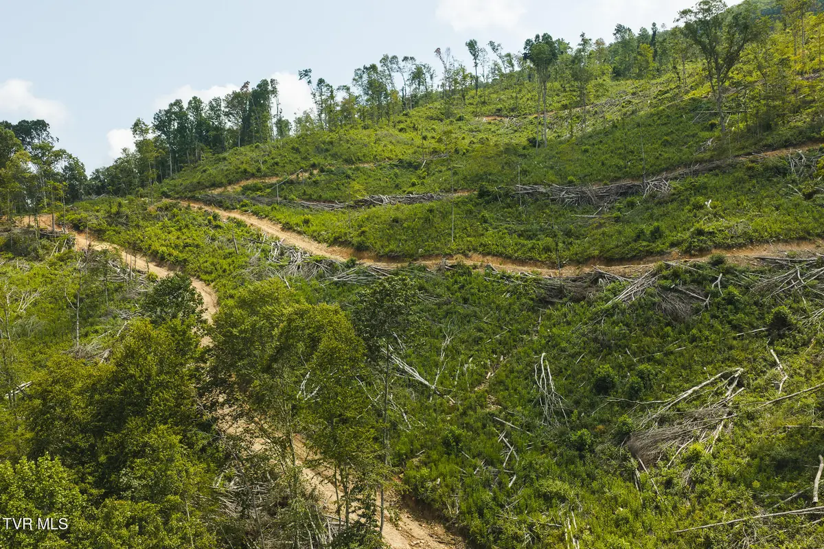 Tbd Snake Hollow Road, Sneedville, TN 37869 - #1