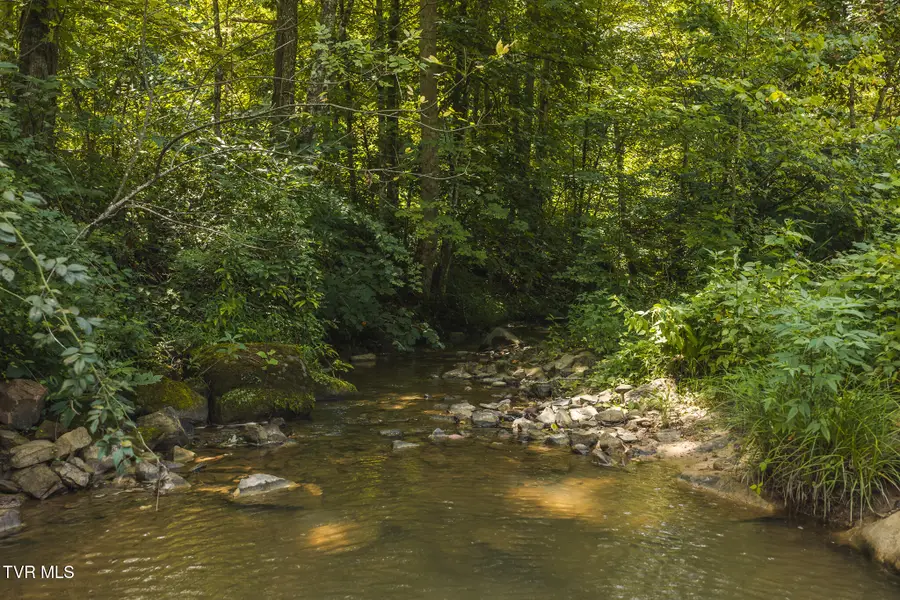 Tbd Snake Hollow Road, Sneedville, TN 37869 - #3