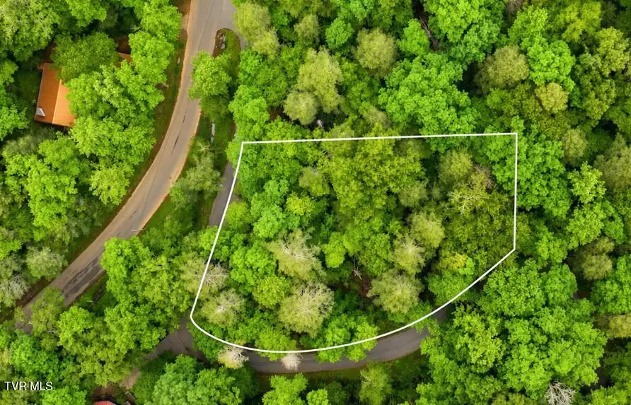 Lot 3 King Drive, Gatlinburg, TN 37738 - #2