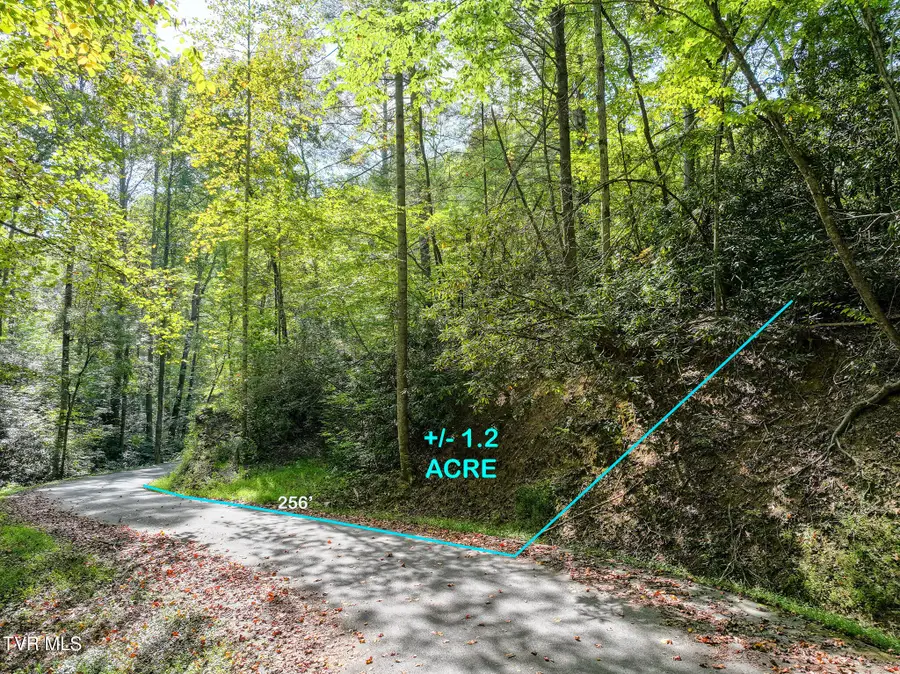 Lot 3 King Drive, Gatlinburg, TN 37738 - #3