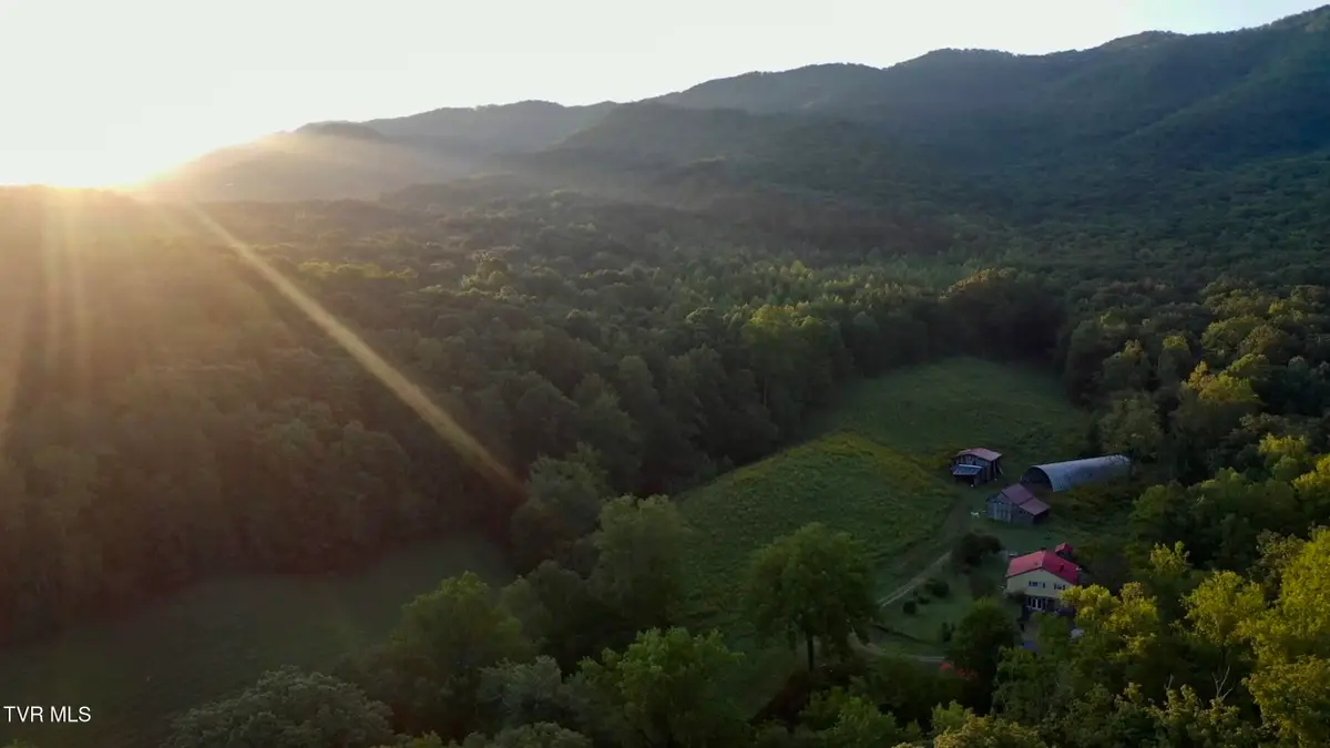 3471 Sane Road, Parrottsville, TN 37843 - #1